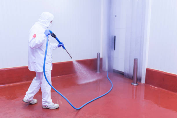 Best Pool Deck Cleaning  in Blue Bell, PA